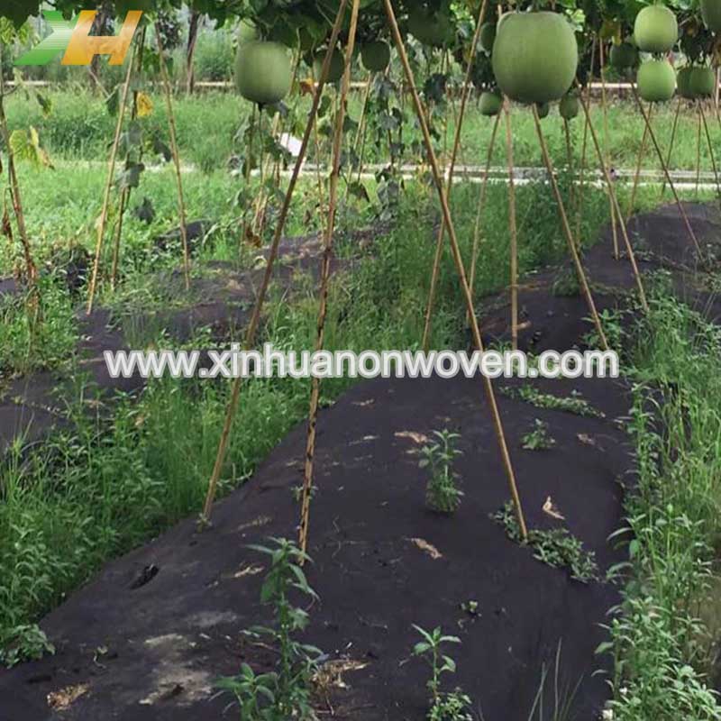 non woven crop cover
