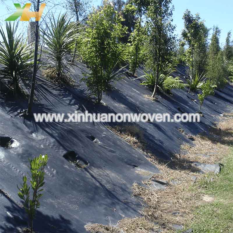 non woven Plant cover