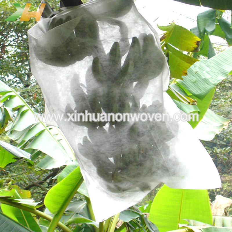 non woven Plant cover